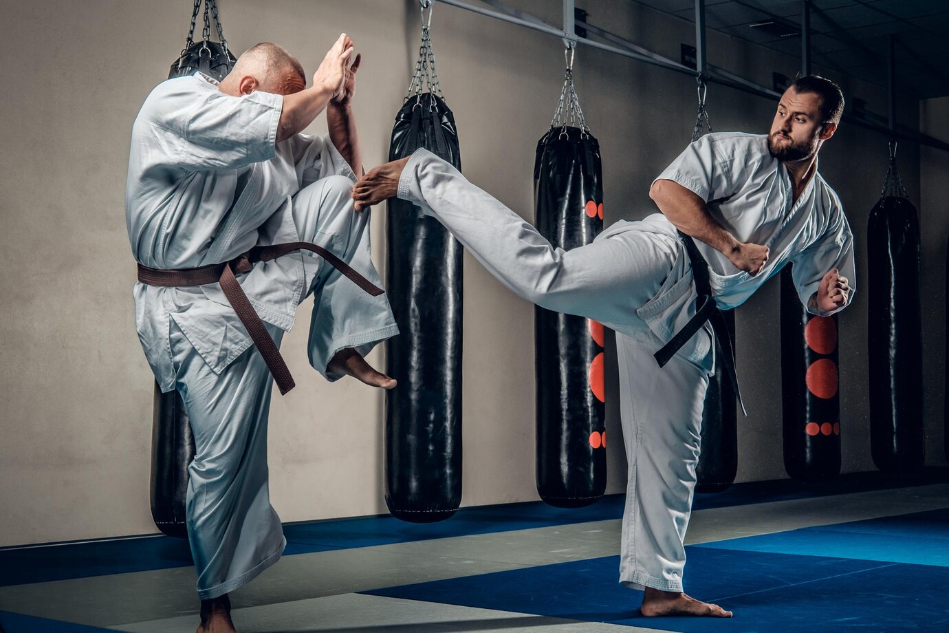 Martial Art Training